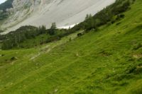 2015-07-03_Sonnjoch (583)b.JPG